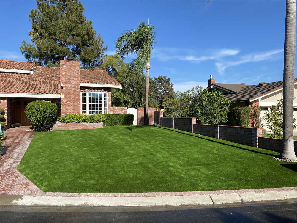 Synthetic Backyard Greens